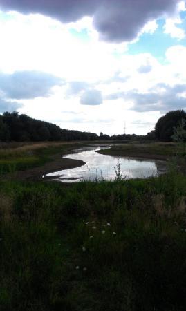 Fobney Island Nature Reserve